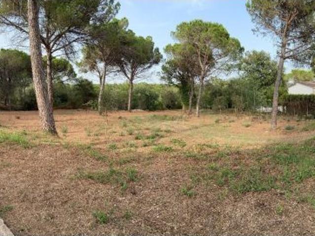 Local Comercial en venta en Caldes De Malavella