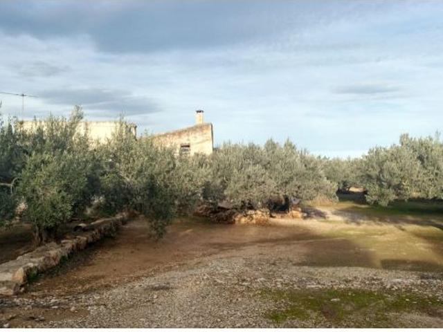 Local Comercial en venta en Camarles, Tarragona