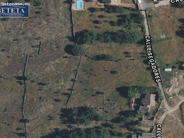Local Comercial en venta en Campillo De Ranas, Castilla-La Mancha