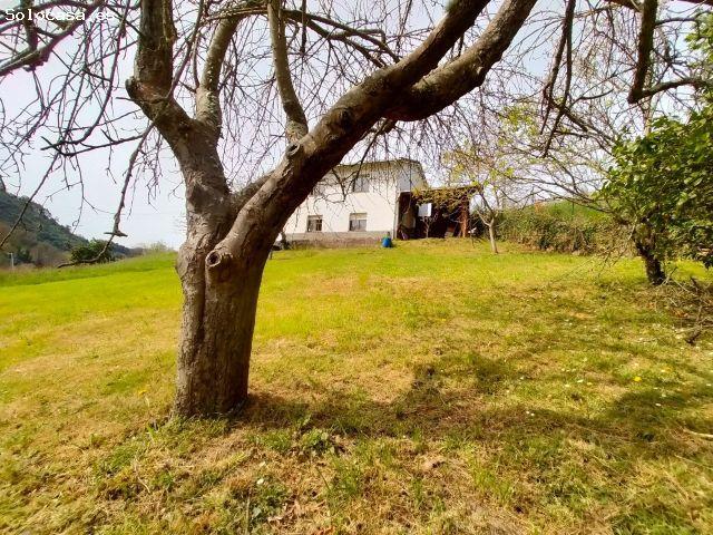 Local Comercial en venta en Candamo, Asturias