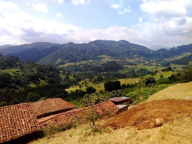 Local Comercial en venta en Candamo, Asturias