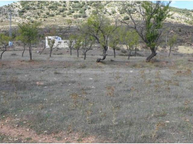Local Comercial en venta en Cañete, Castilla-La Mancha