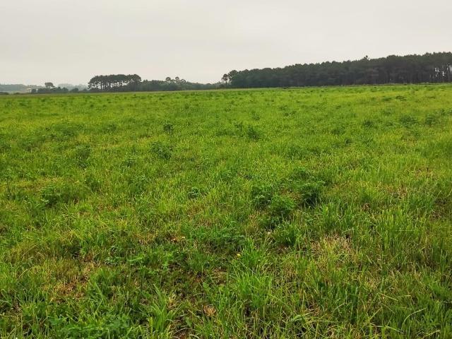 Terreno en venta en Castropol, Asturias
