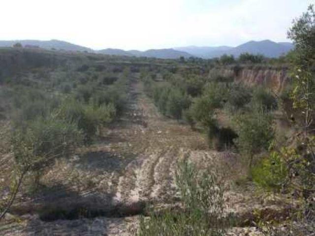Local Comercial en venta en Campillo y Suertes, Noroeste