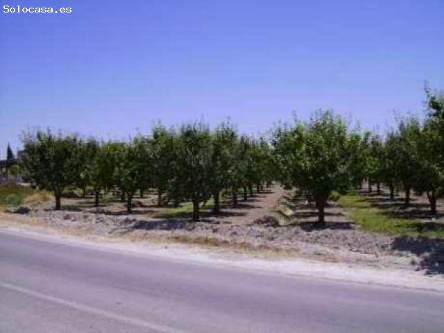 Local Comercial en venta en Campillo y Suertes, Noroeste
