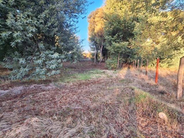 Casa en venta en Cabrero, Biobío