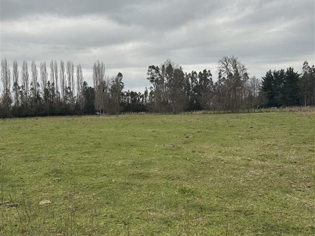 Casa en venta en Freire, La Araucanía