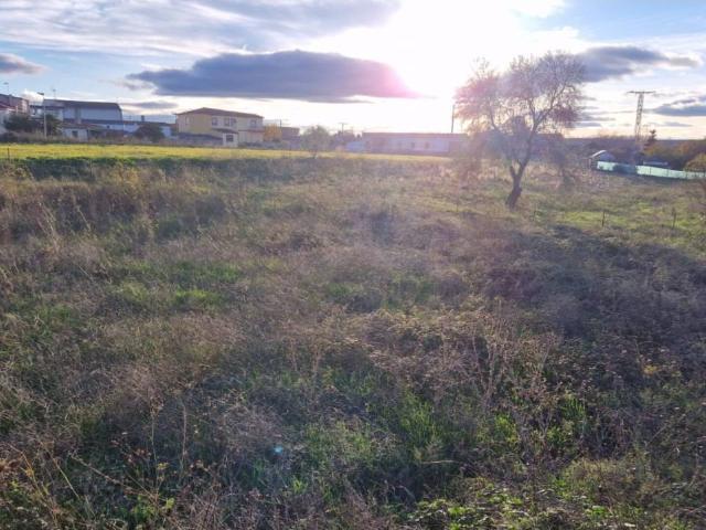 Terreno en venta en Ciudad Rodrigo, Castilla y León