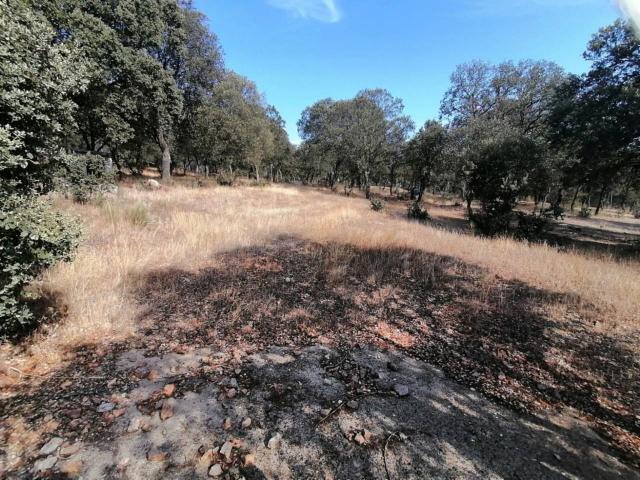 Terreno en venta en Ciudad Rodrigo, Castilla y León
