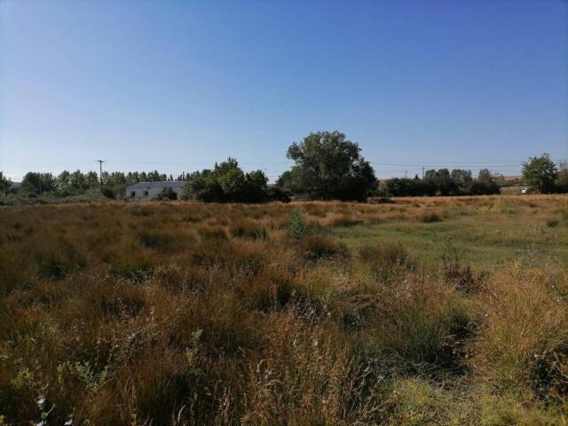 Terreno en venta en Ciudad Rodrigo, Castilla y León