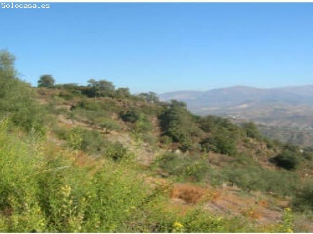 Local Comercial en venta en Comares