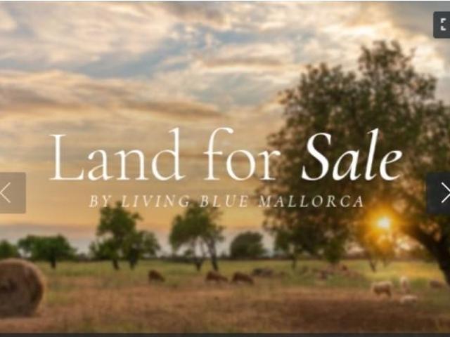 Terreno en venta en Consell