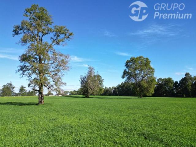 Parcela en Venta en Corte alto purranque