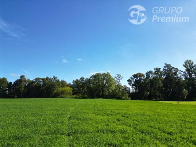 Parcela en Venta en Corte alto purranque