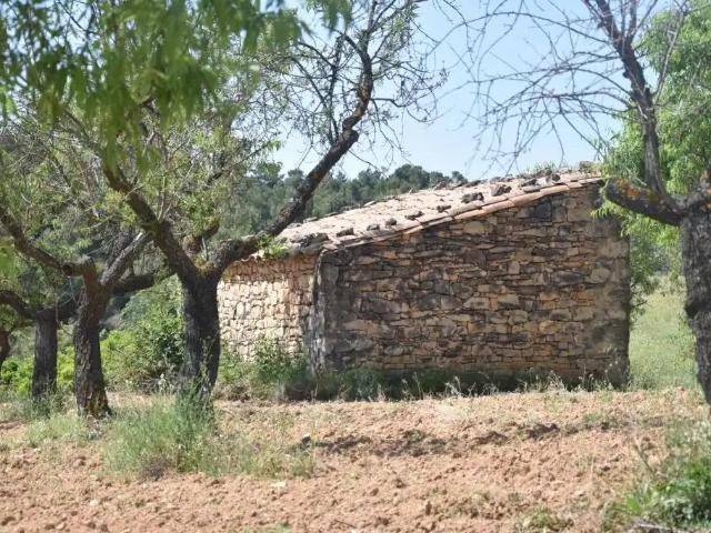 Terreno en venta en Matarraña / Matarranya, Cretas
