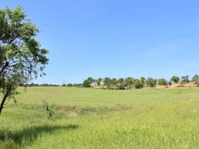 Terreno en venta en Matarraña / Matarranya, Cretas