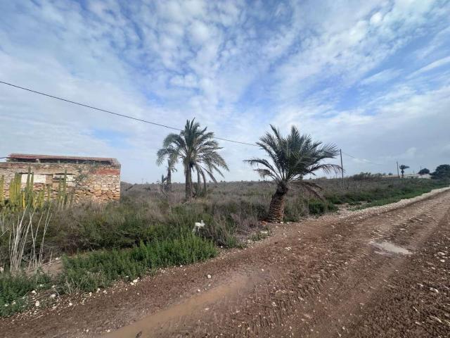 Finca en venta en el Realengo, el Baix Vinalopó