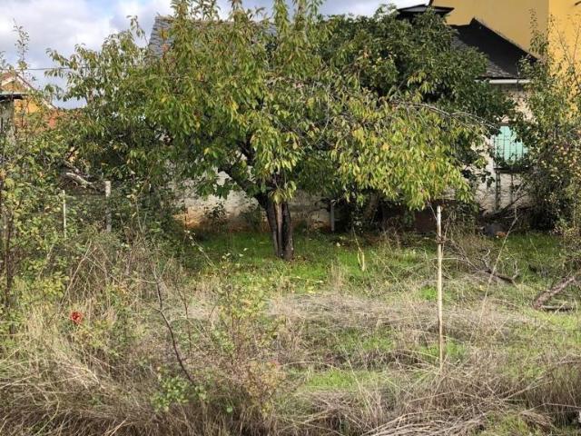 Terreno en venta en Cubillos Del Sil