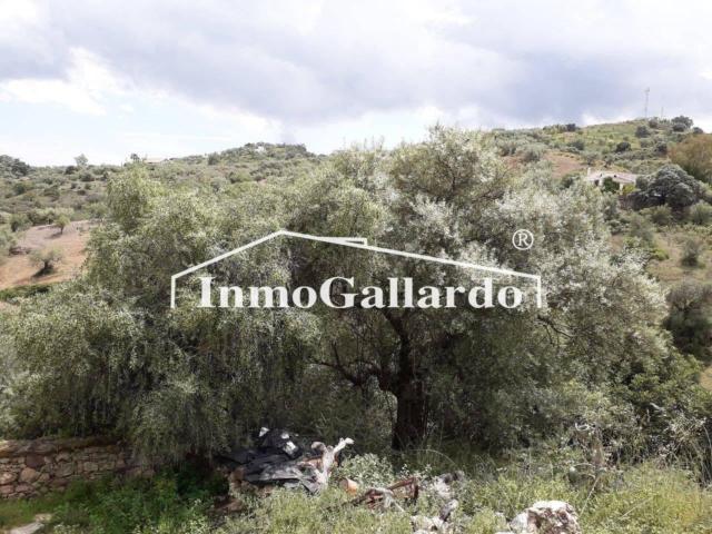 Terreno en venta en La Axarquía, Andalucía