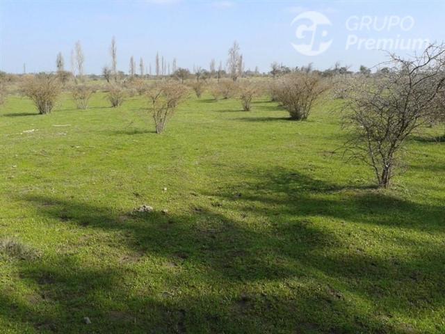 Casa en venta en Retiro, Maule