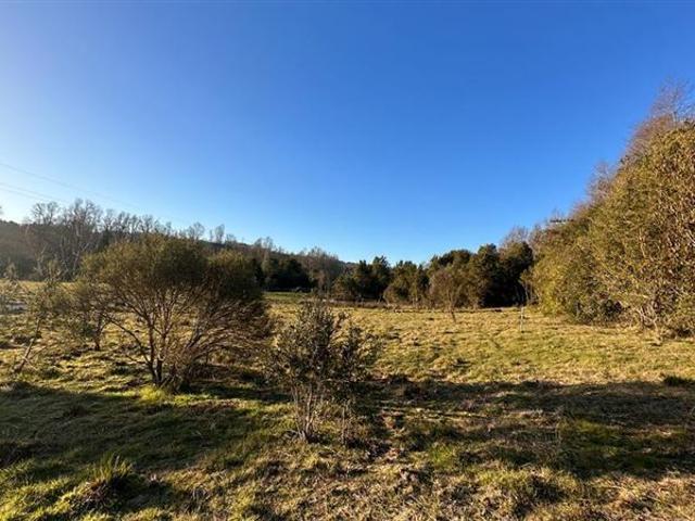 Parcela en Venta en EL MONJE PANGUIPULLI