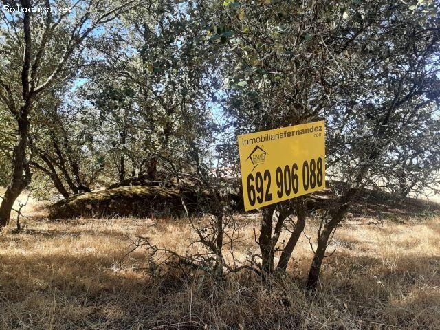 Local Comercial en venta en Torreorgaz, Extremadura