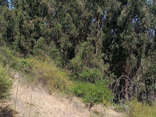 Parcela en Venta en EL RINCON, LA PUNTA, SAN FRANCISCO DE MOSTAZAL, REGION BERNARDO O´HIGGINS