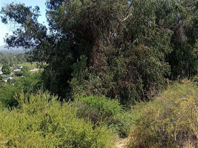 Parcela en Venta en EL RINCON, LA PUNTA, SAN FRANCISCO DE MOSTAZAL, REGION BERNARDO O´HIGGINS