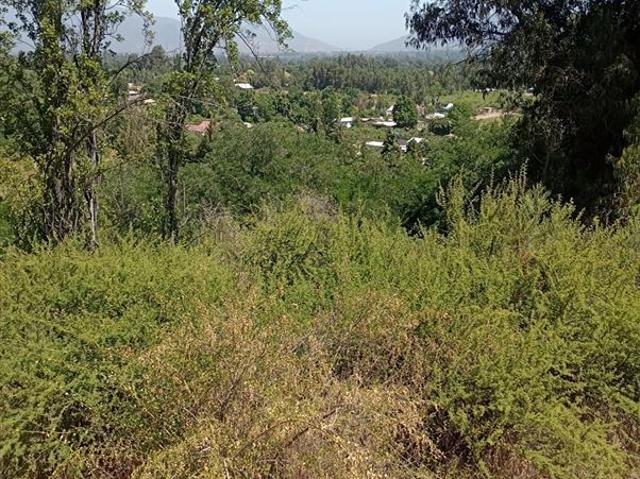 Parcela en Venta en EL RINCON, LA PUNTA, SAN FRANCISCO DE MOSTAZAL, REGION BERNARDO O´HIGGINS