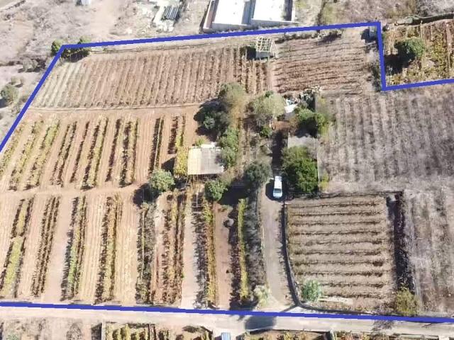 Terreno en venta en Tenerife, El Sauzal