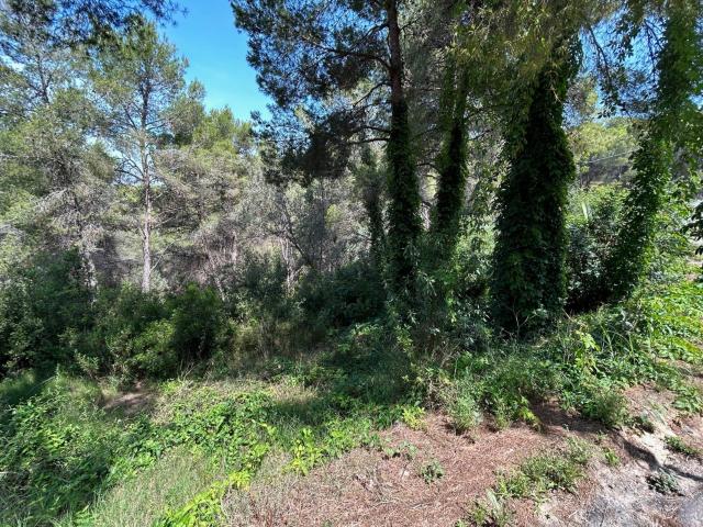 Terreno en venta en Mont Vedat, l'Horta Sud