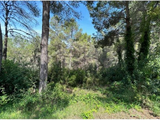 Local Comercial en venta en Mont Vedat, l'Horta Sud