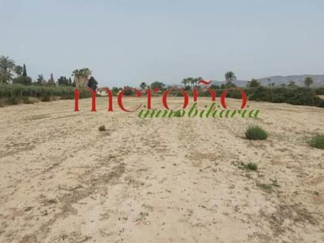 Terreno en venta en Elche, Valencia