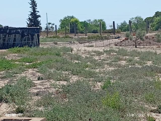 Finca en venta en el Baix Vinalopó, Valencia