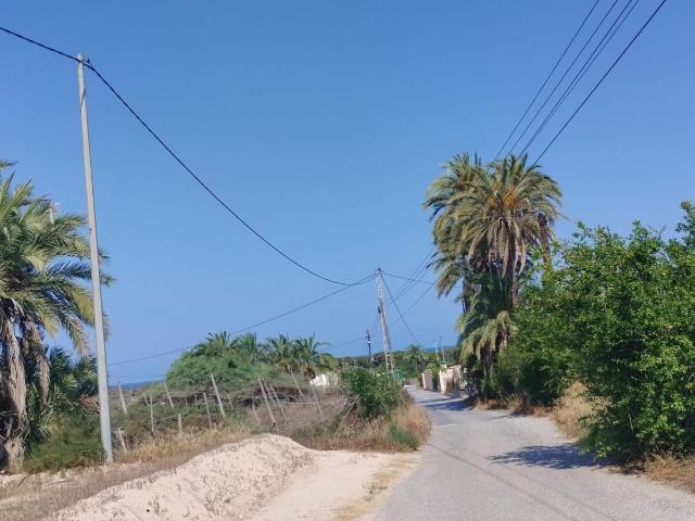 Finca en venta en el Baix Vinalopó, Valencia