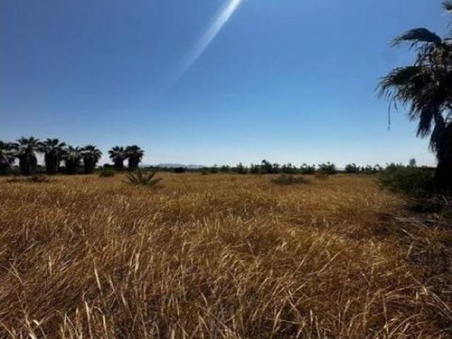 Local Comercial en venta en la Punyalà, el Baix Vinalopó