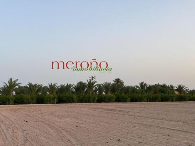 Terreno en venta en Elche, Valencia