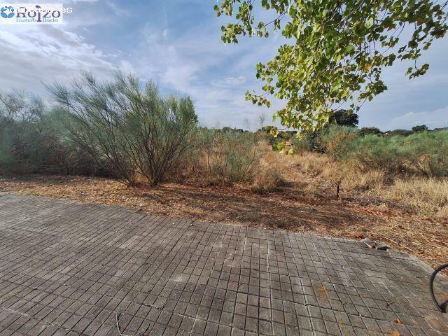 Local Comercial en venta en Escalona, Escalona Golf