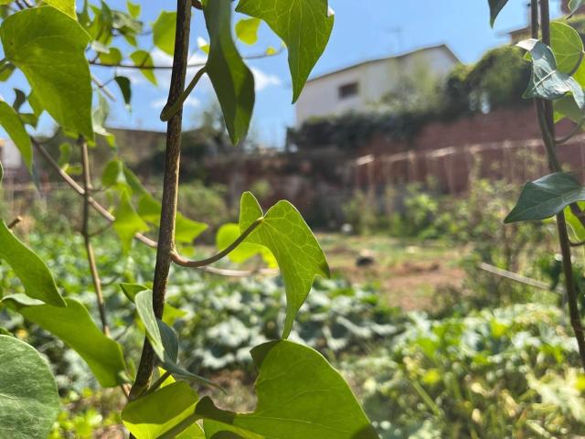 Terreno en venta en Esparreguera
