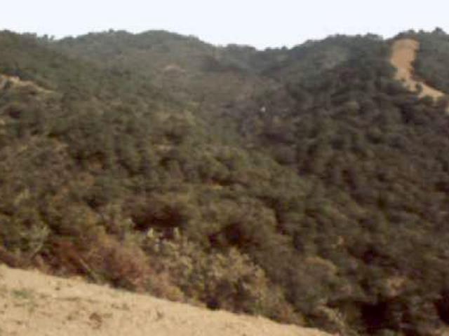 Terreno en venta en Costa del Sol Occidental, Andalucía