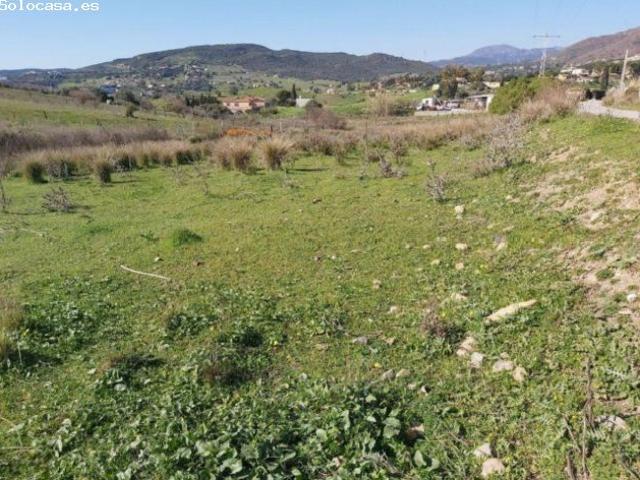 Local Comercial en venta en Barriada Islas Canarias, Costa del Sol Occidental