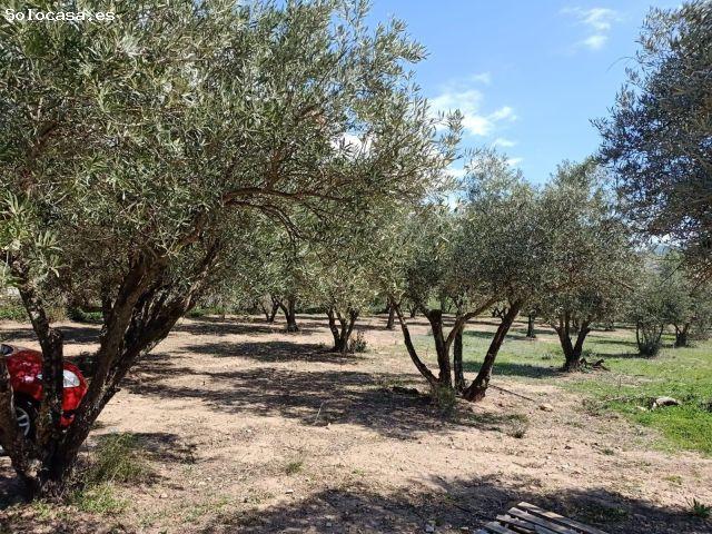 Local Comercial en venta en Fondón, Andalucía