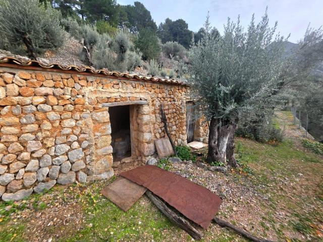 Terreno en venta en Serra de Tramuntana, Baleares