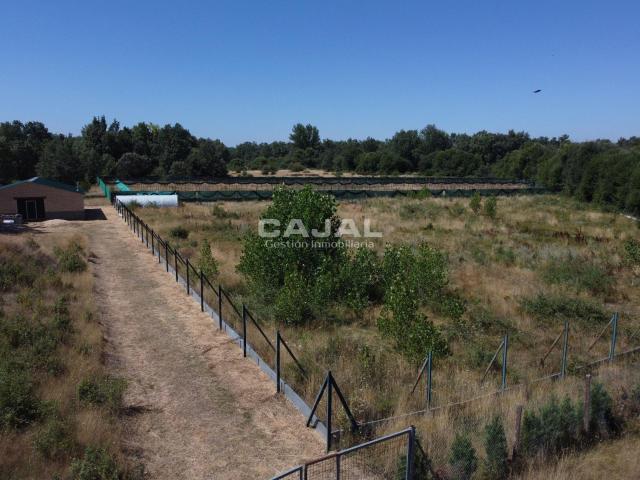 Terreno en venta en Fresno De Cantespino, Castilla y León