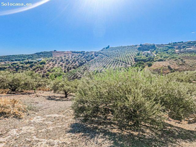 Local Comercial en venta en La Axarquía, Andalucía