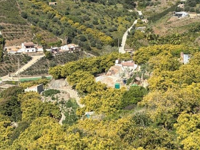 Terreno en venta en Frigiliana