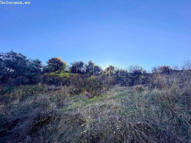 Local Comercial en venta en La Axarquía, Andalucía