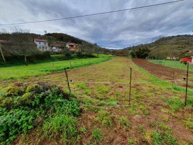 Terreno en venta en Grado, Asturias