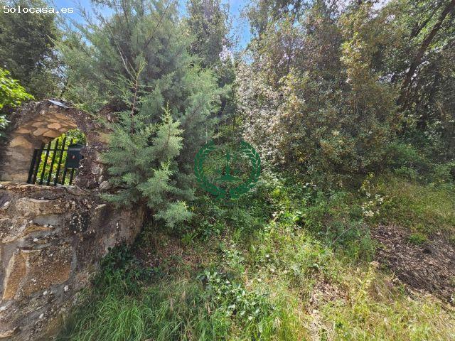 Local Comercial en venta en Guadalix De La Sierra, Madrid