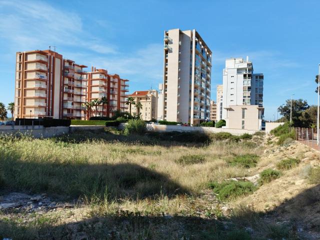 Terreno en venta en el Baix Segura / La Vega Baja, Valencia